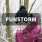 Funstorm