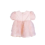 Mother and Daughter Dress Set in Powder Color - Tenderness and Elegance 25704 - 703 / 2025